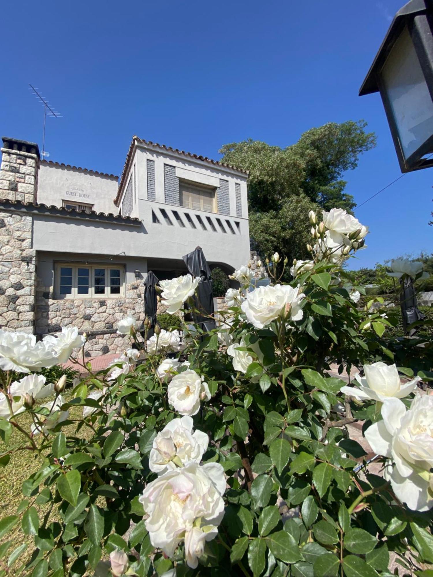 Posada Del Angel 维拉塞拉尼塔 外观 照片
